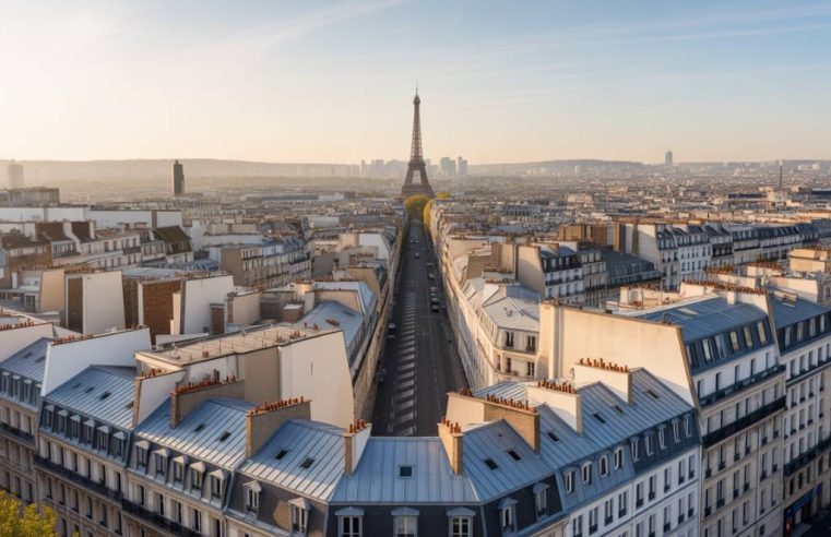Dératisation Paris quelle stratégie adopter pour les immeubles anciens ?